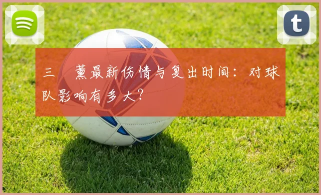 三笘薰最新伤情与复出时间:对球队影响有多大?