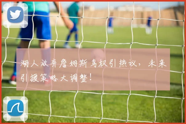 湖人放弃詹姆斯鸟权引热议,未来引援策略大调整!